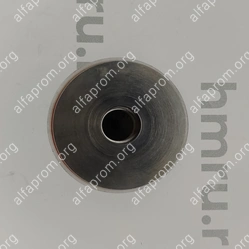 Поршень с кольцами (PTFE) для LPF/PPF-500(T)